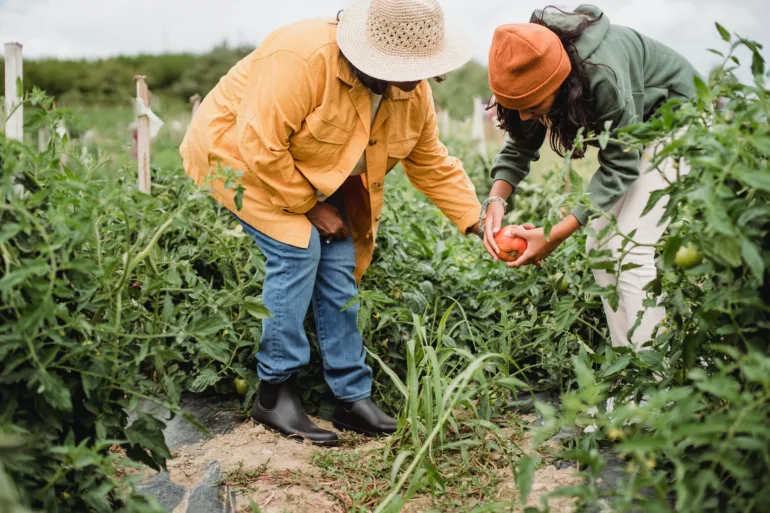 Moorhead Community Garden grants