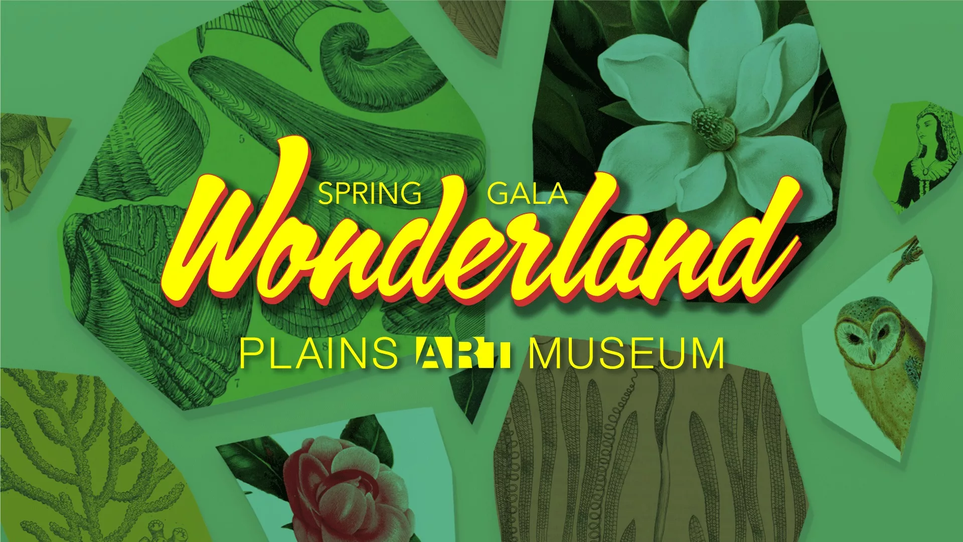 Plains Art Museum Spring Gala Wonderland Fargo Underground