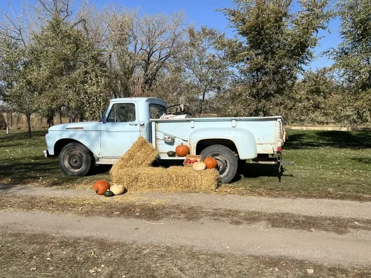 Fall Festival