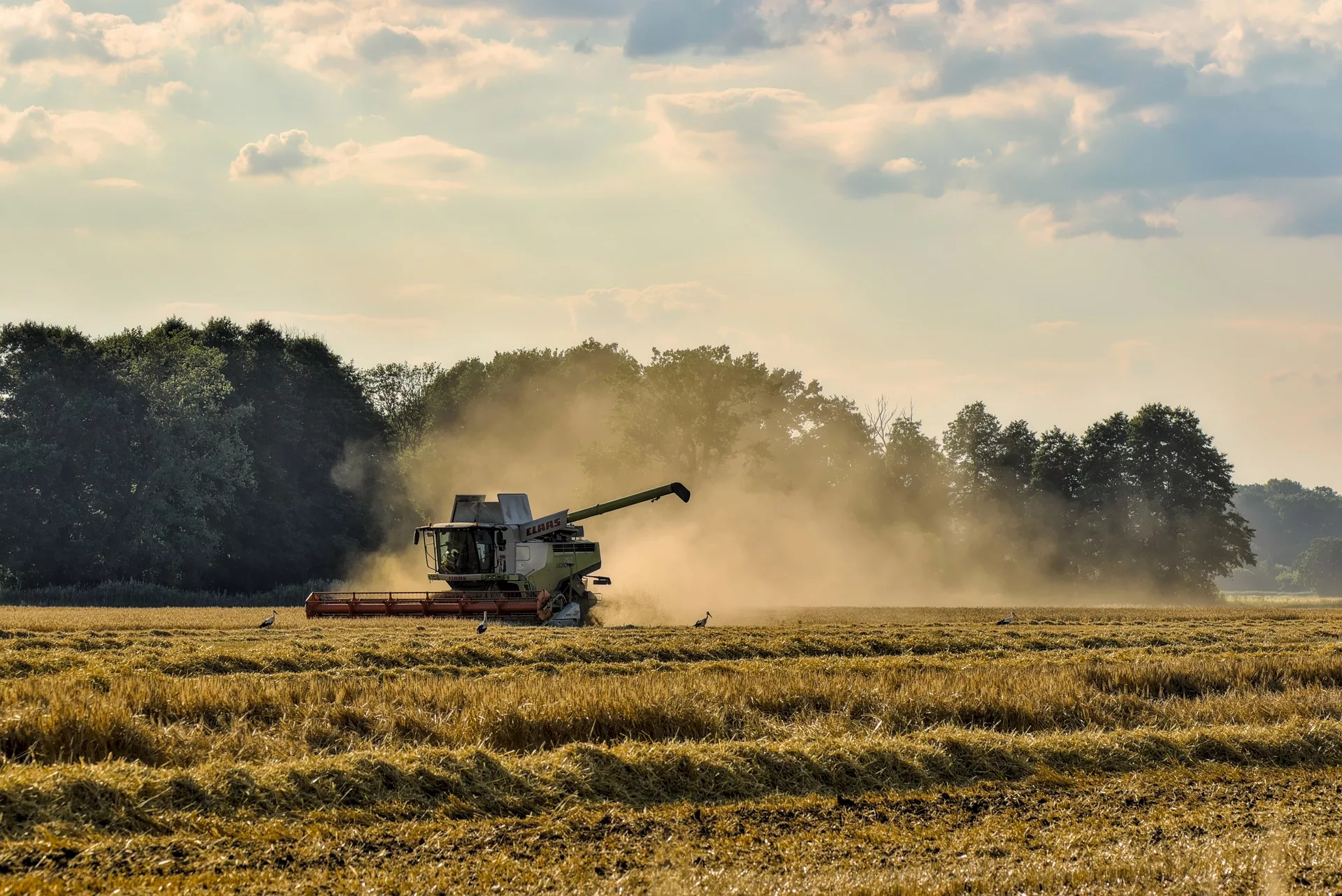 Prairie Fare: Meals in the field, past and present [Recipe: Beef and ...