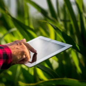 Close up man using a tablet in a field