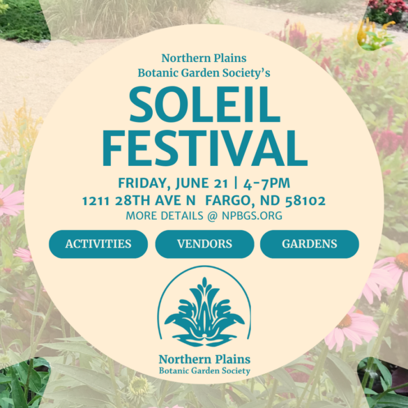 Soleil Festival