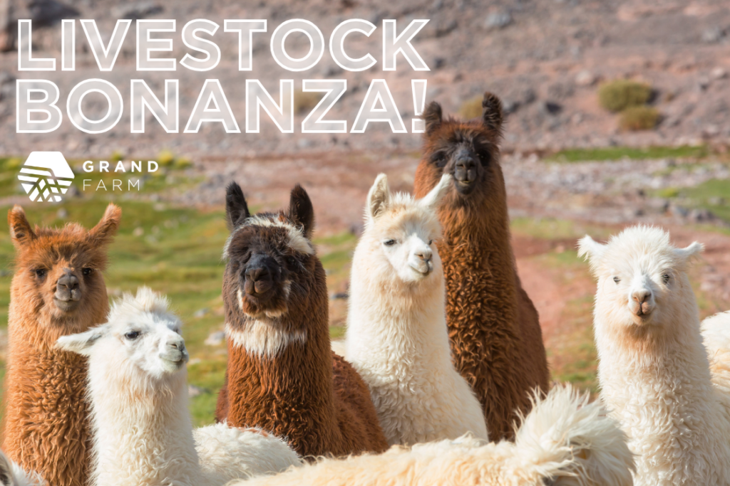 Livestock Bonanza! with Grand Farm - Fargo Underground