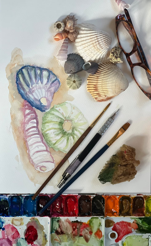 Explore Creativity with Watercolor: Seashells and Poetry Class with Anne Kaese