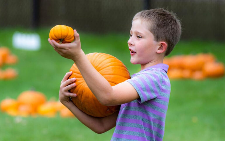 Fargo Parks Welcomes Autumn with “Fall in Fargo” Festival