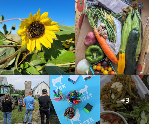 Our Local Plate: Farm Fest & Market at Doubting Thomas Farms