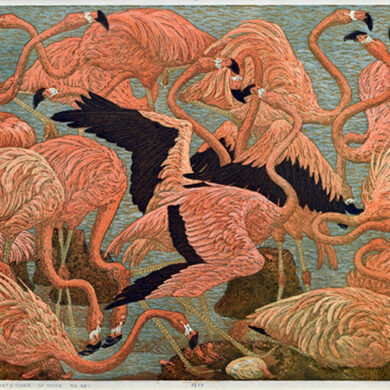 Campaign cover image for Opening Reception