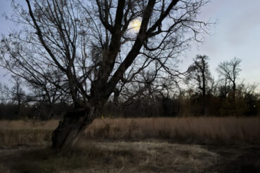 All American Trail North